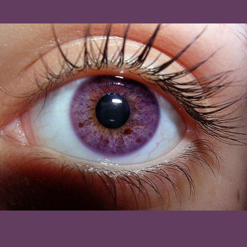 Bright crystal solid purple (12 months) contact lenses