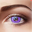 Eye Circle Lens Little Devil Purple Colored Contact Lenses