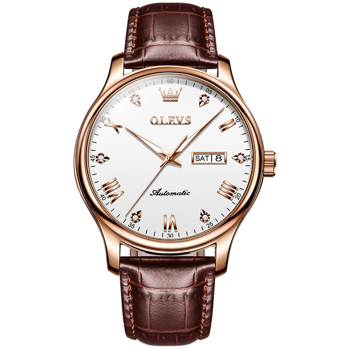 Fashionable Elegant Waterproof Glow-in-the-dark Mechanical Watch Women's Watch Men's Watch