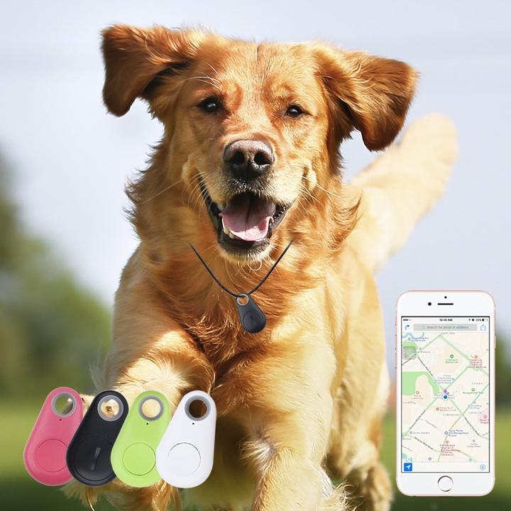 GPS Tracker Tag