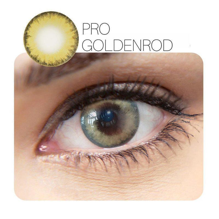 Pro Golden Rod Prescription (12 Month) Contact Lenses - ilabar